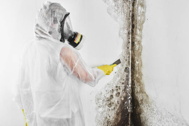 Water damage restoration mold remediation in Warren, OR